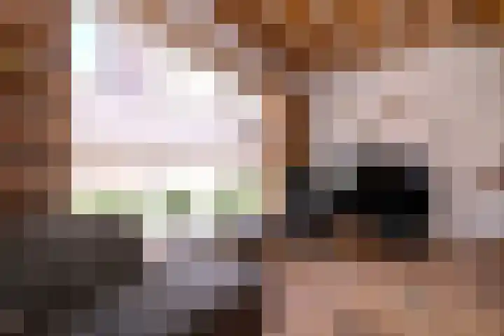 Lievevrouwestraat 4 Zutphen thumbnail 6