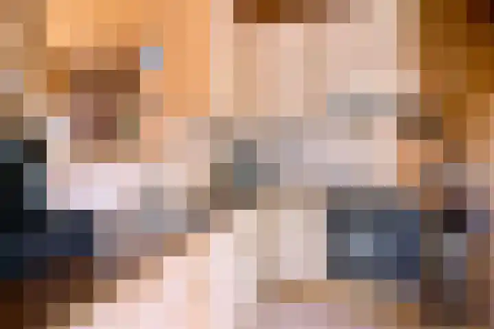 Lievevrouwestraat 4 Zutphen thumbnail 8