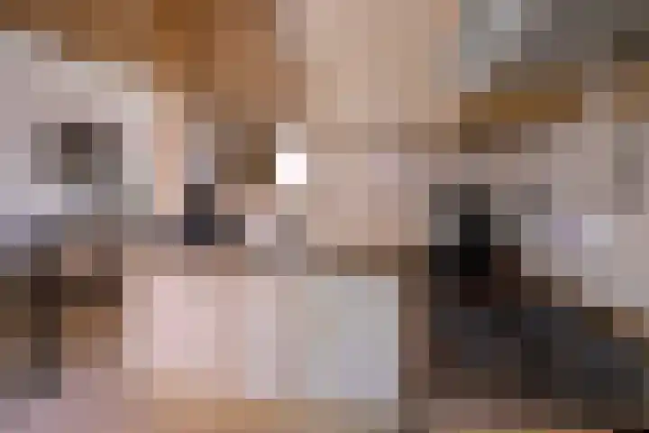 Lievevrouwestraat 4 Zutphen thumbnail 9