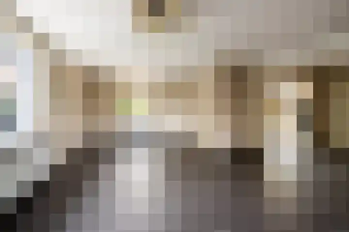 Lievevrouwestraat 40 Ossendrecht thumbnail 4