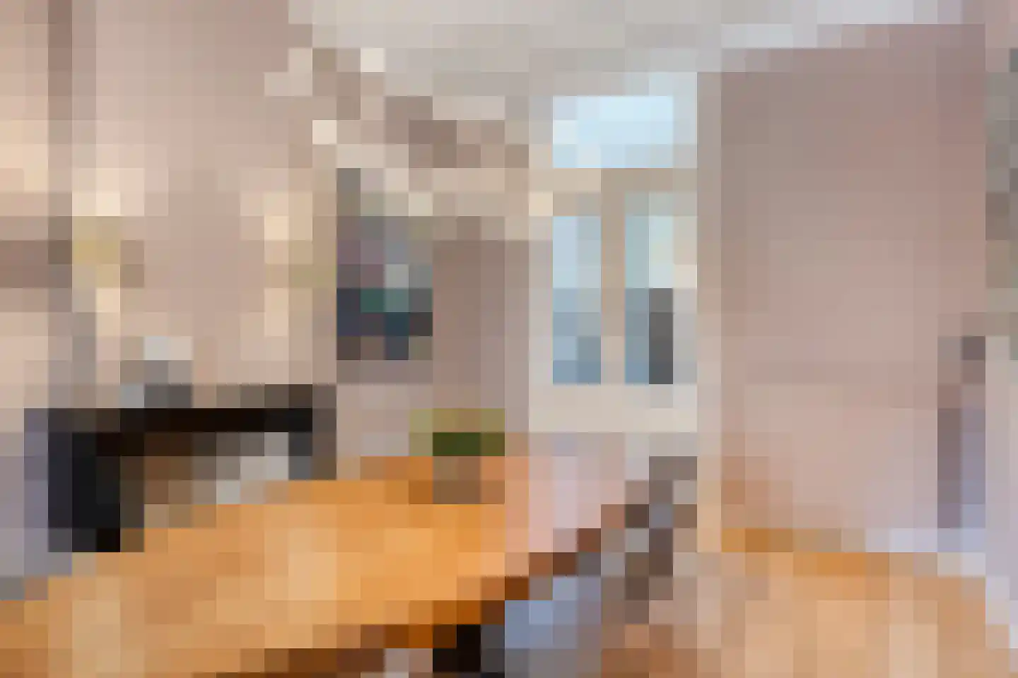 Lievevrouwestraat 54 Bergen op Zoom thumbnail 13
