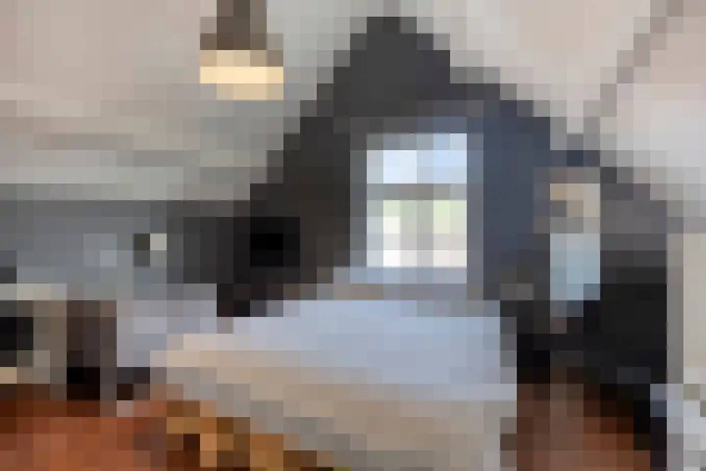 Lievevrouwestraat 54 Bergen op Zoom thumbnail 33