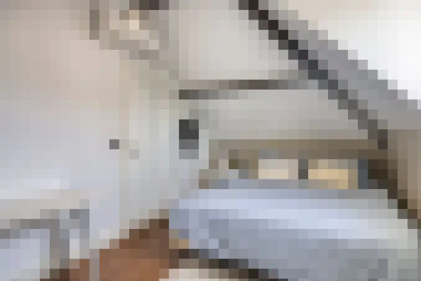 Lievevrouwestraat 54 Bergen op Zoom thumbnail 37