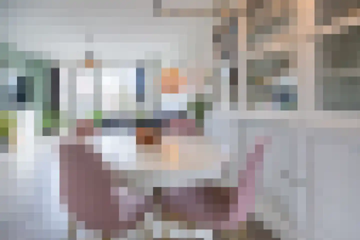 Lievevrouwestraat 76 Ossendrecht thumbnail 10