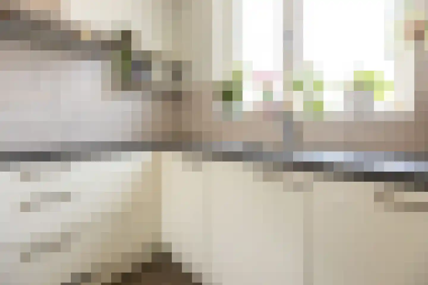 Lievevrouwestraat 76 Ossendrecht thumbnail 16