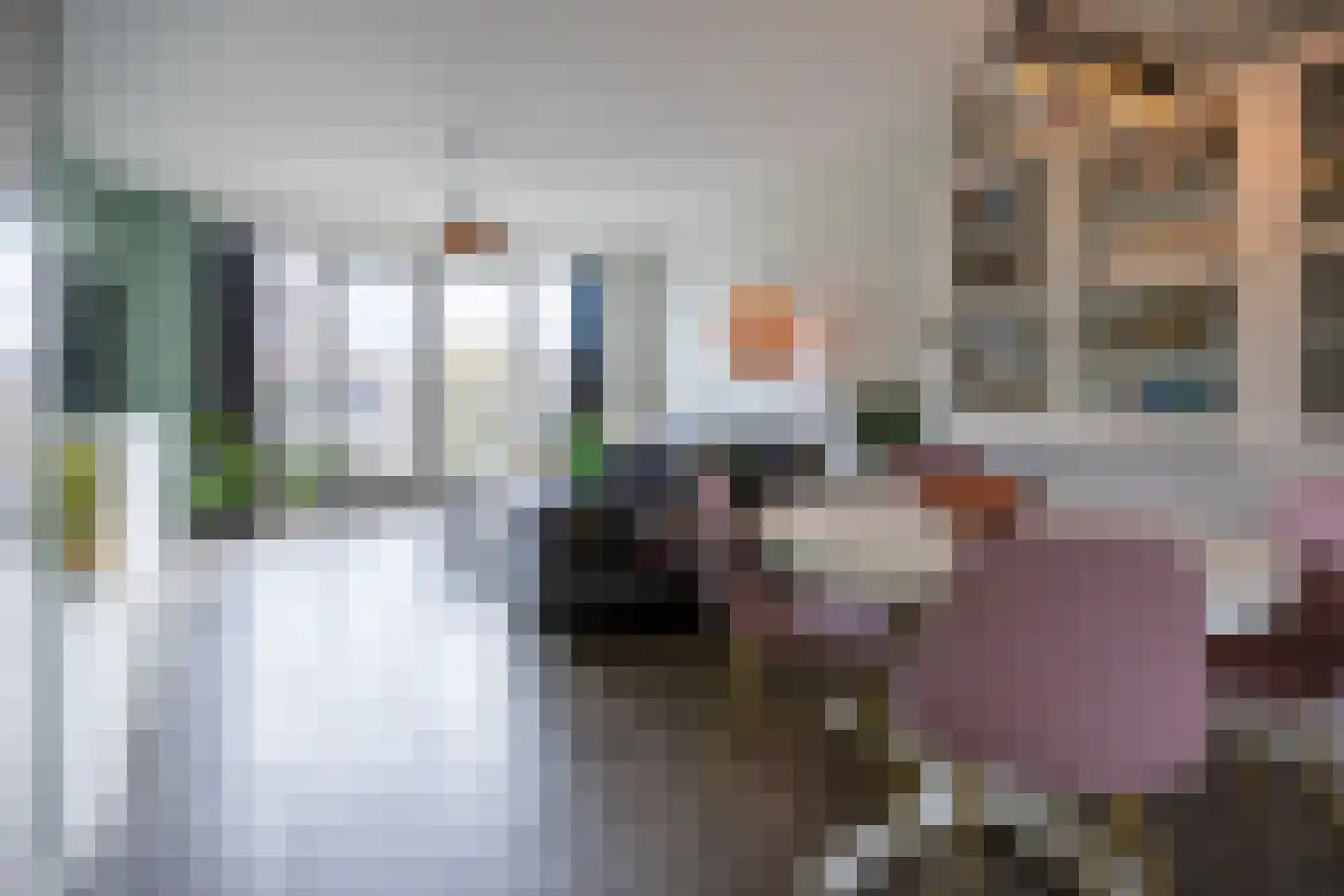 Lievevrouwestraat 76 Ossendrecht thumbnail 9