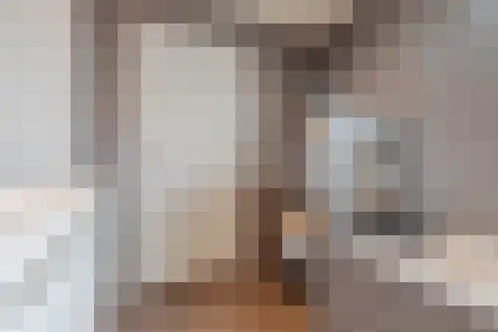 Lievevrouwestraat 79 Ossendrecht thumbnail 15