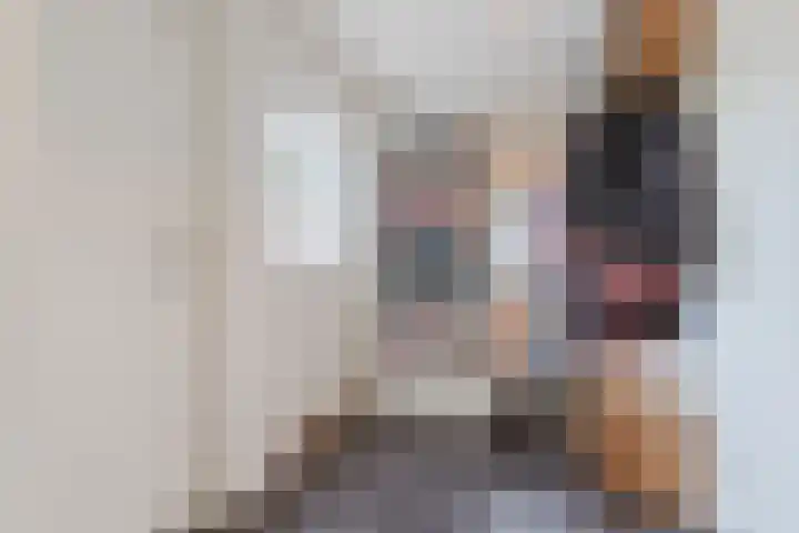 Lievevrouwestraat 79 Ossendrecht thumbnail 6