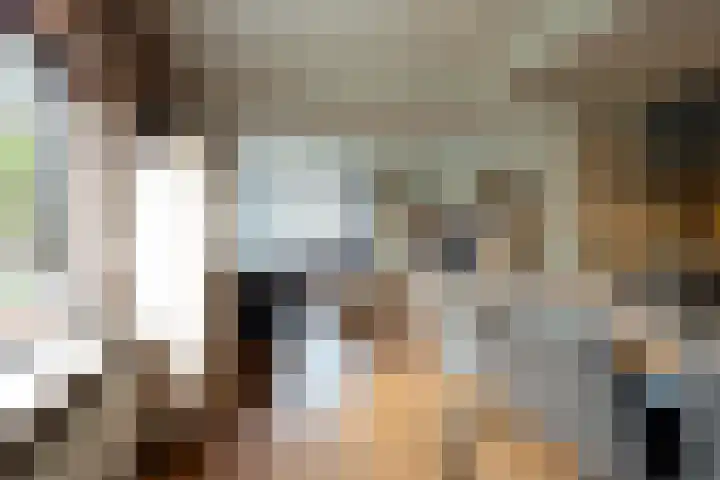 Lievevrouwestraat 88 Ossendrecht thumbnail 10