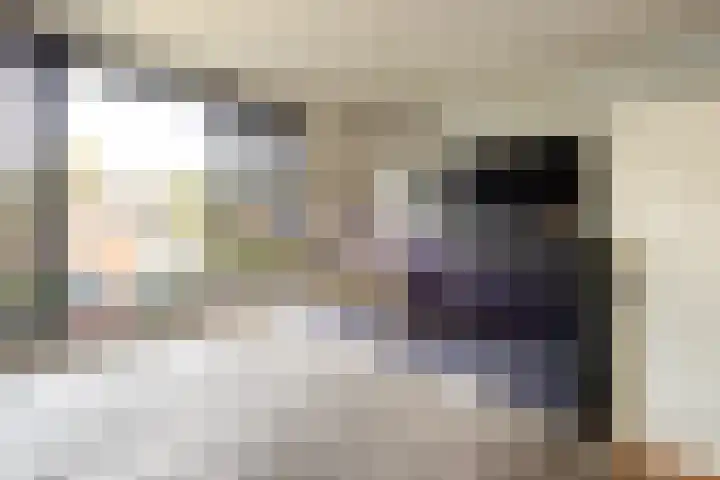 Lievevrouwestraat 88 Ossendrecht thumbnail 21
