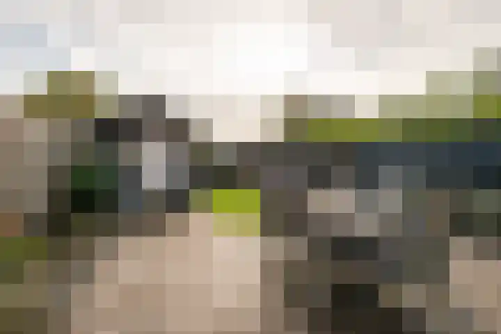 Lievevrouwestraat 88 Ossendrecht thumbnail 30