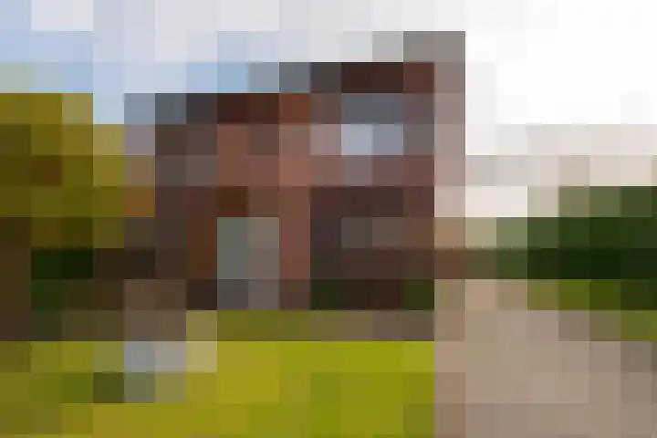 Lievevrouwestraat 88 Ossendrecht thumbnail 32