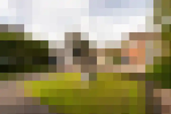 Lievevrouwestraat 88 Ossendrecht thumbnail 34