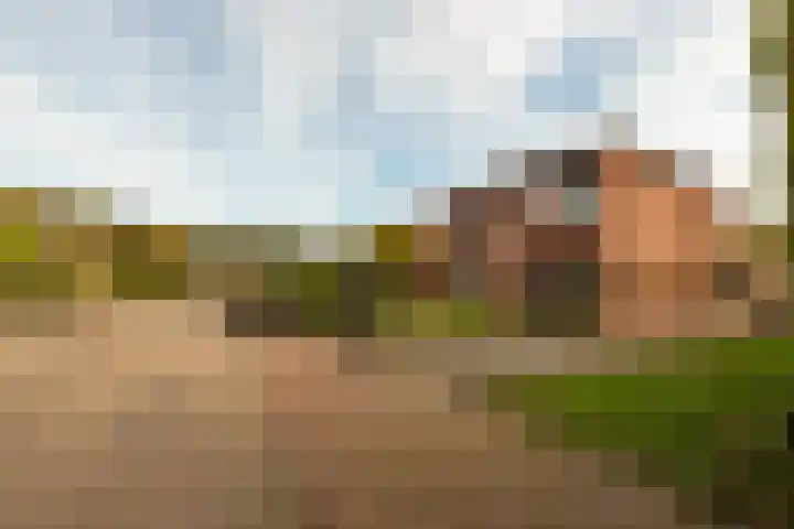 Lievevrouwestraat 88 Ossendrecht thumbnail 37