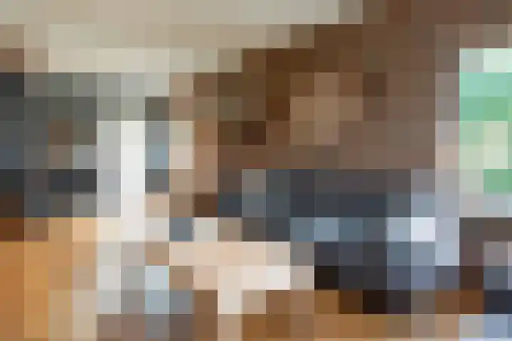 Lievevrouwestraat 88 Ossendrecht thumbnail 8