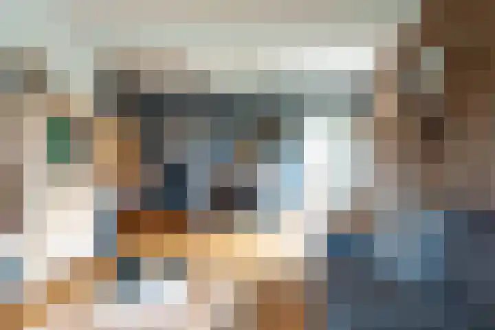Lievevrouwestraat 88 Ossendrecht thumbnail 9
