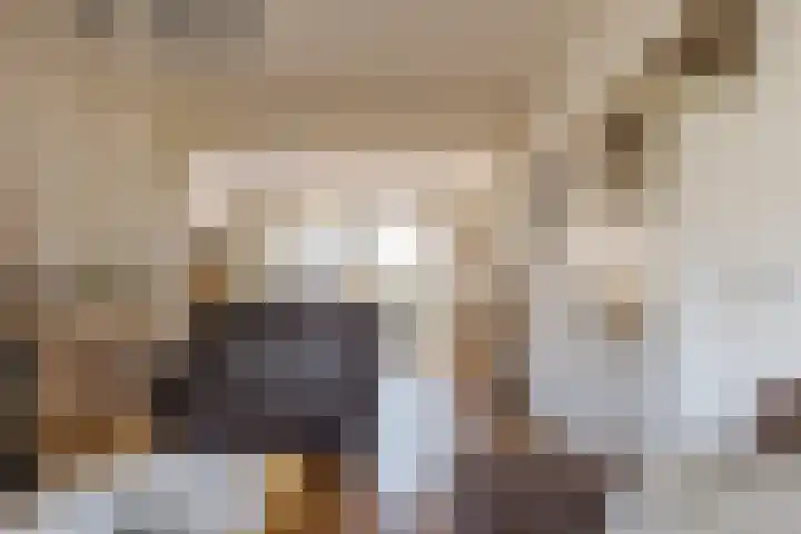 Lieving 17 A Beilen thumbnail 15