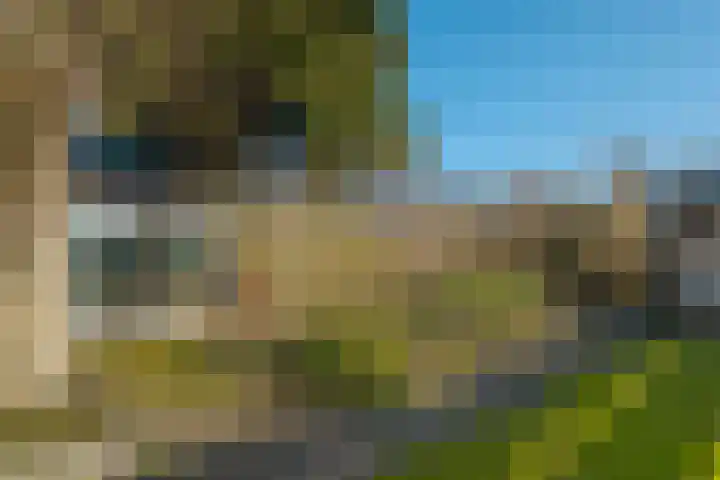 Lieving 17 A Beilen thumbnail 50