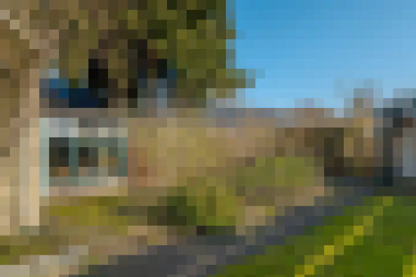 Lieving 17 A Beilen thumbnail 50