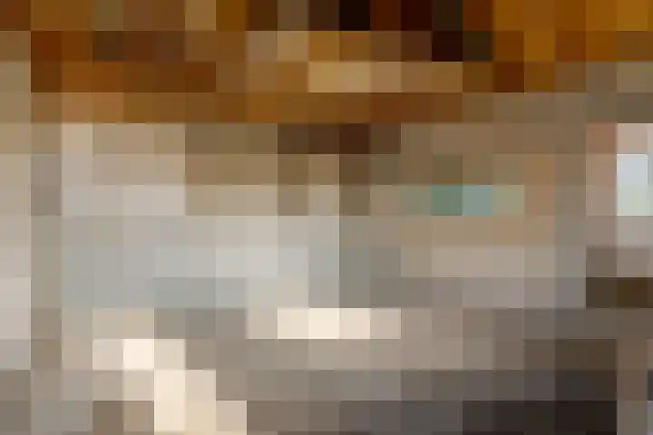Lieving 17 A Beilen thumbnail 53