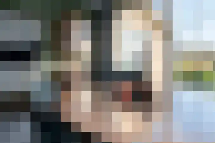 Lieving 17 B Beilen thumbnail 8