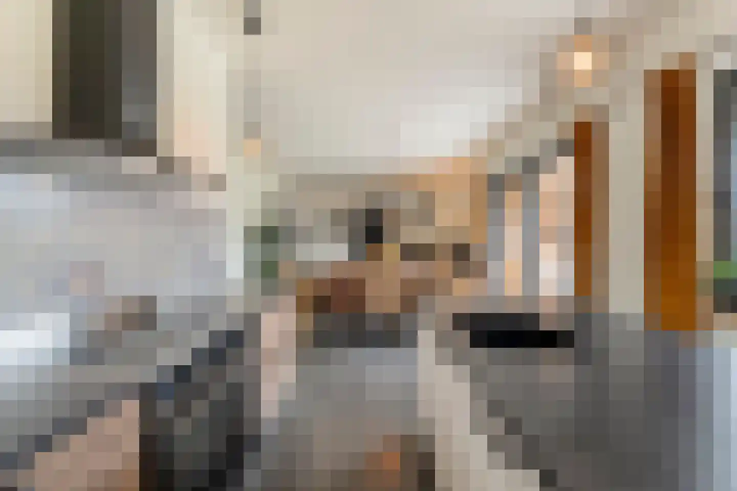 Lievingerveld 107 Beilen thumbnail 27