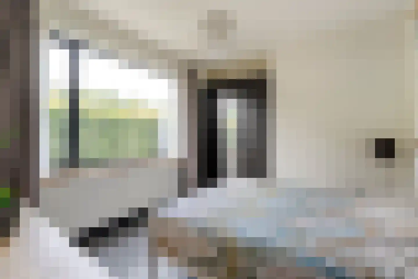 Lievingerveld 107 Beilen thumbnail 31