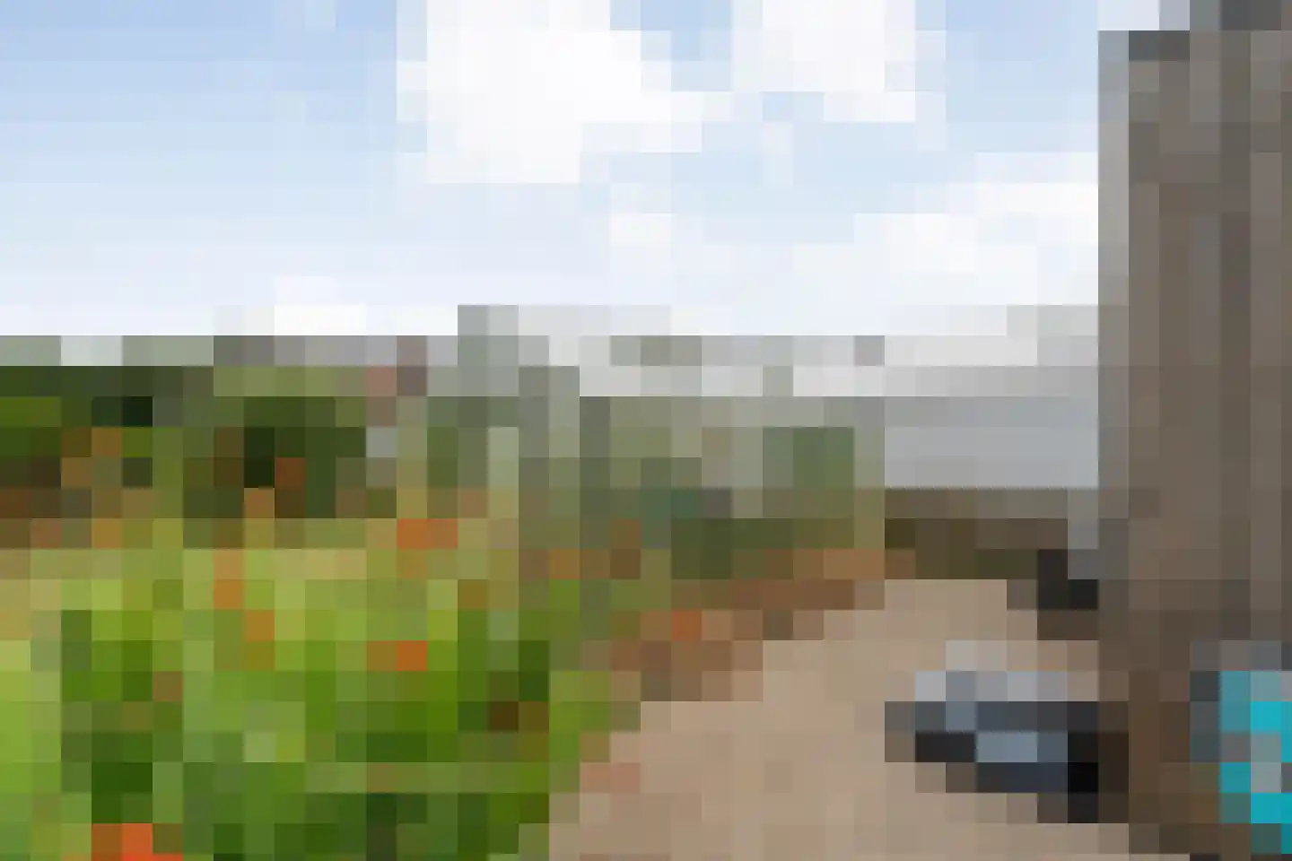 Lievingerveld 107 Beilen thumbnail 49