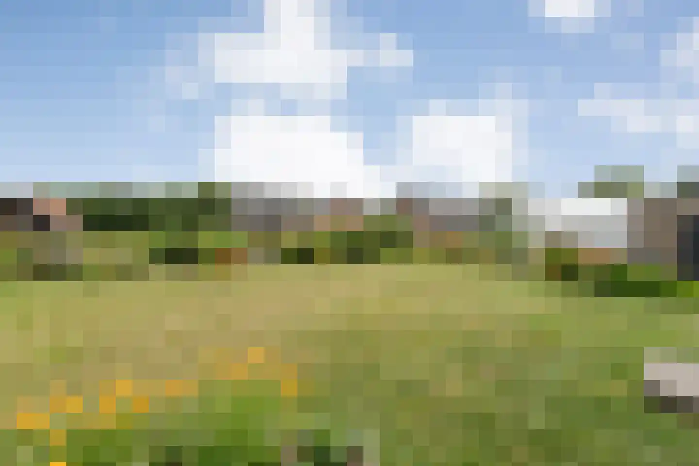 Lievingerveld 107 Beilen thumbnail 52