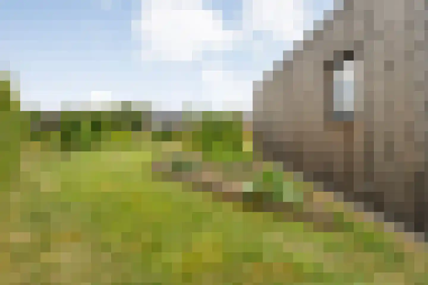 Lievingerveld 107 Beilen thumbnail 56