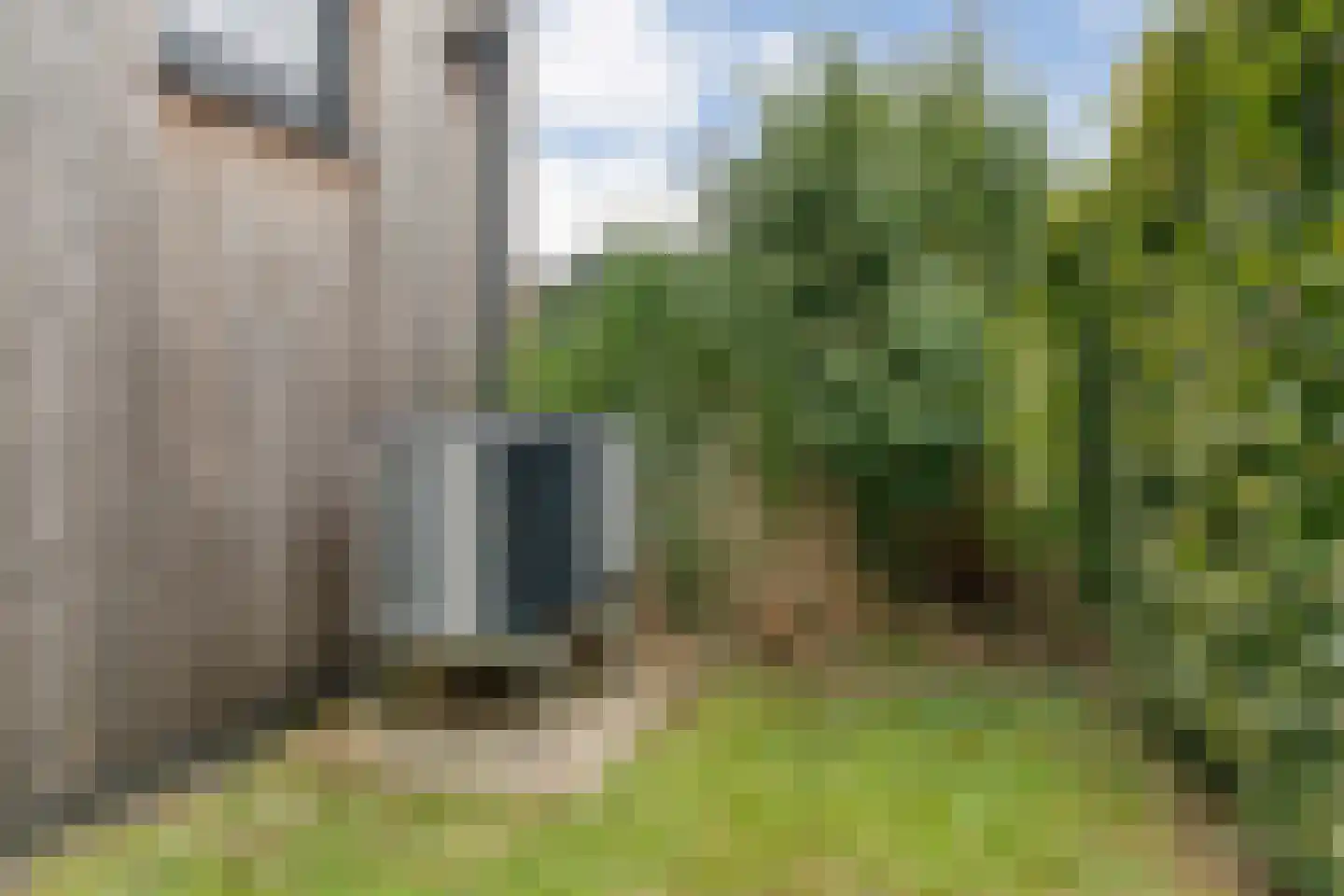Lievingerveld 107 Beilen thumbnail 59