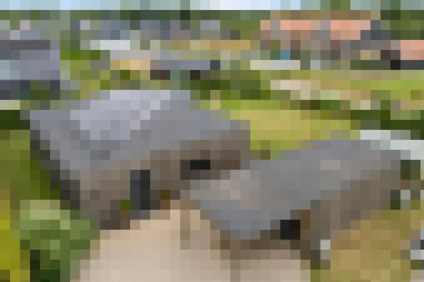 Lievingerveld 107 Beilen thumbnail 6