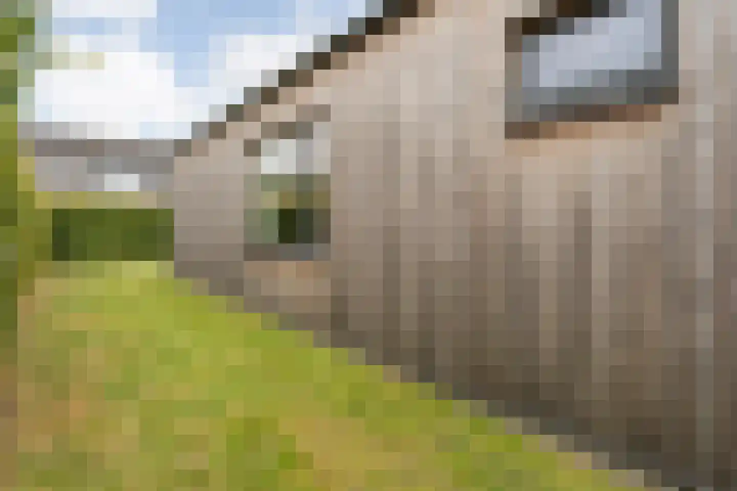 Lievingerveld 107 Beilen thumbnail 60
