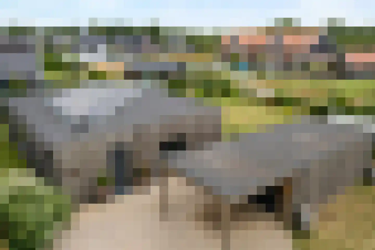 Lievingerveld 107 Beilen thumbnail 61