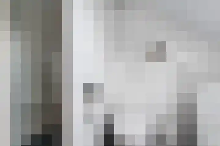 Lievingerveld 110 B Beilen thumbnail 20