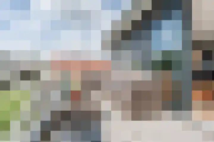 Lievingerveld 110 B Beilen thumbnail 30