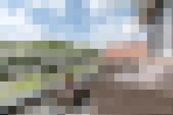 Lievingerveld 110 B Beilen thumbnail 31
