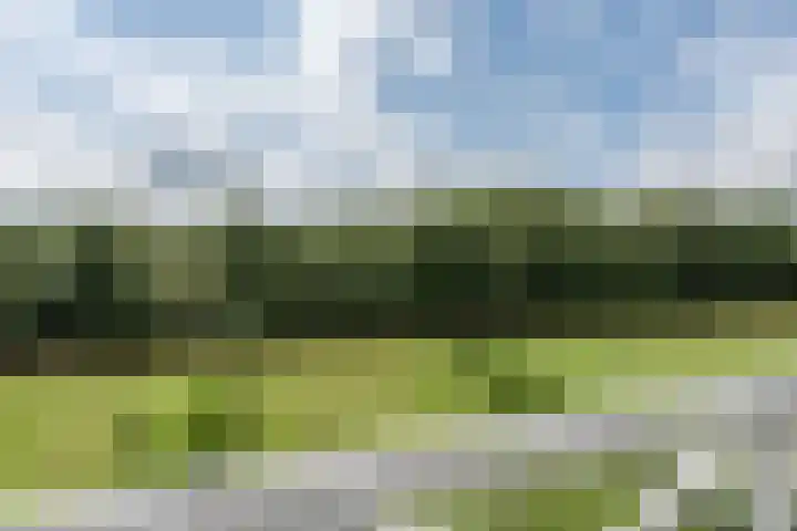 Lievingerveld 110 B Beilen thumbnail 32