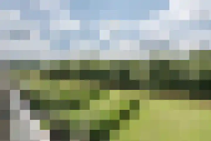 Lievingerveld 110 B Beilen thumbnail 33