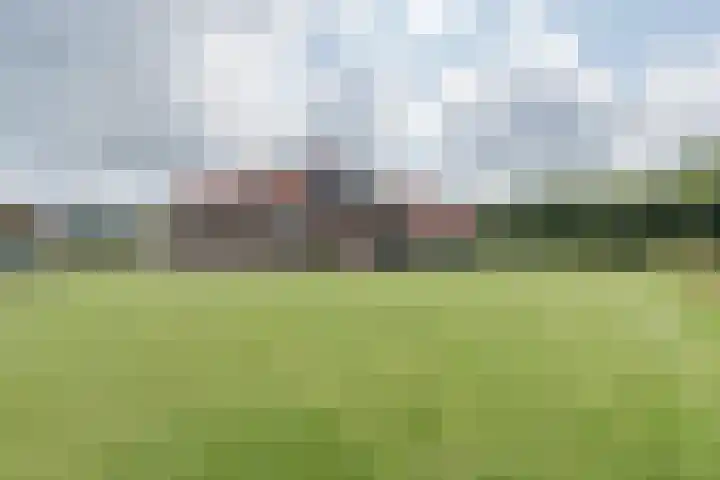 Lievingerveld 110 B Beilen thumbnail 35