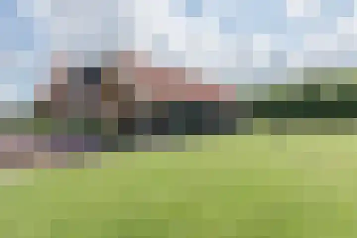 Lievingerveld 110 B Beilen thumbnail 36