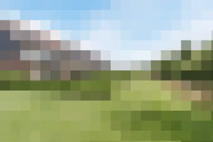 Lievingerveld 110 B Beilen thumbnail 38