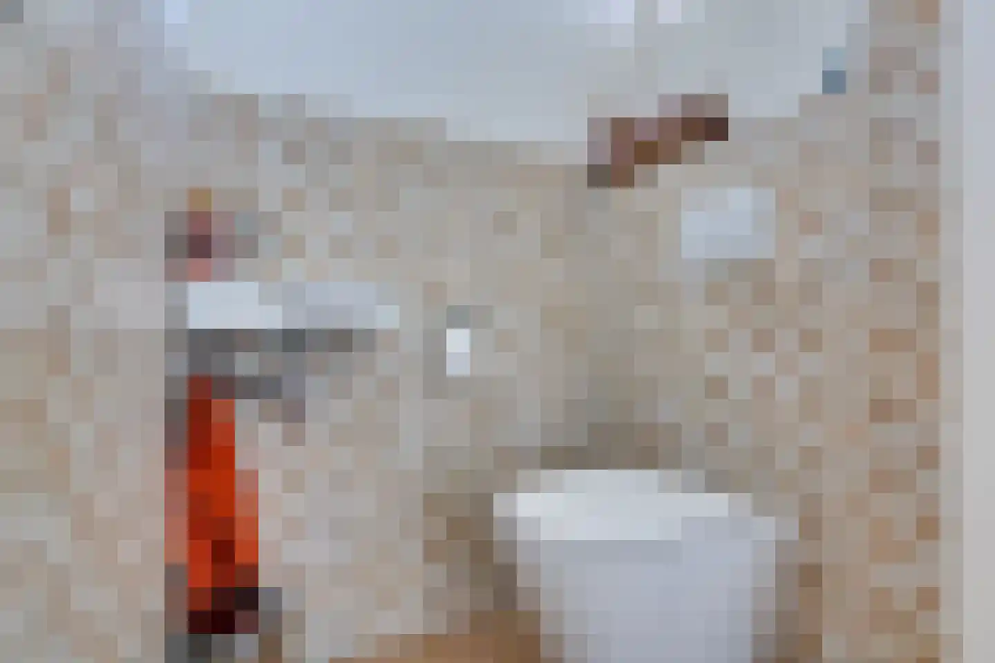 Lievingerveld 122 Beilen thumbnail 19