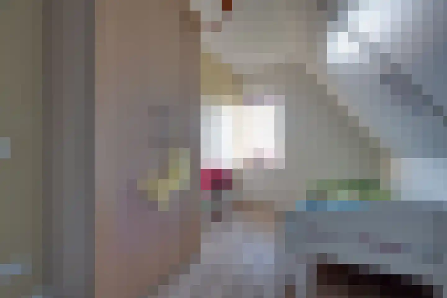Lievingerveld 122 Beilen thumbnail 27