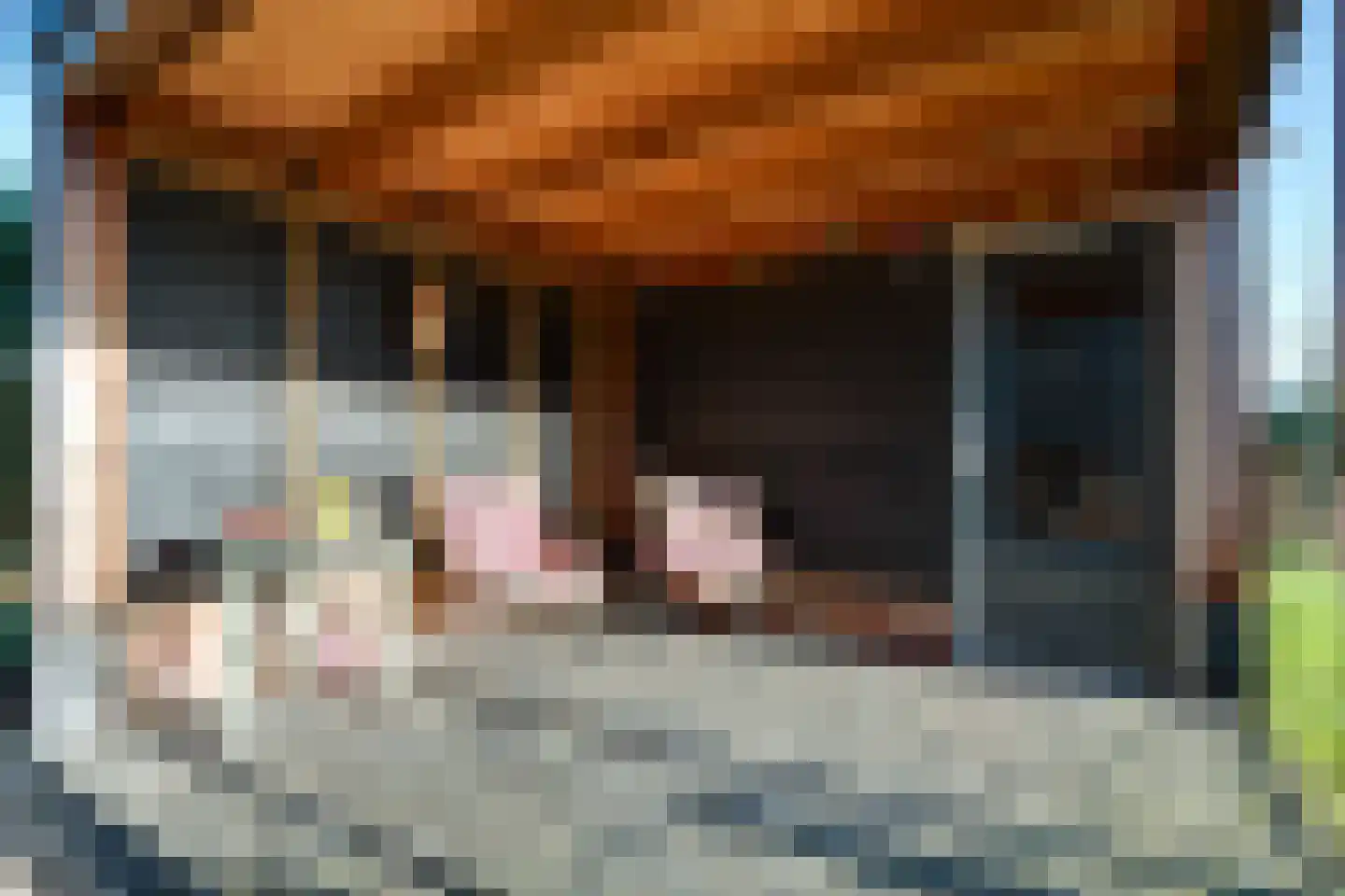 Lievingerveld 122 Beilen thumbnail 37