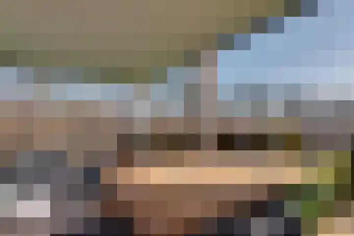 Lievingerveld 300 Beilen thumbnail 11