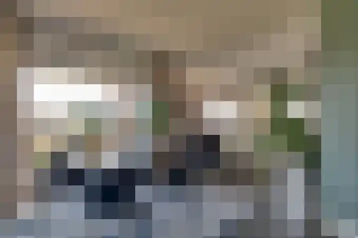 Lievingerveld 300 Beilen thumbnail 13