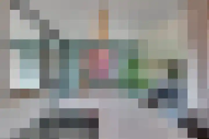 Lievingerveld 300 Beilen thumbnail 18