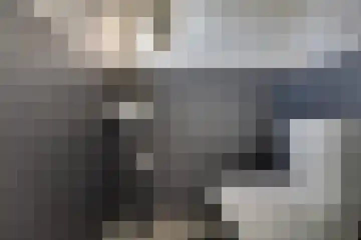 Lievingerveld 300 Beilen thumbnail 21