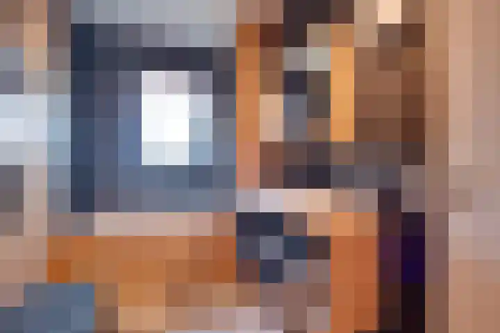 Lievingerveld 300 Beilen thumbnail 23